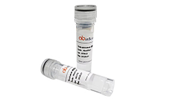 工具酶
